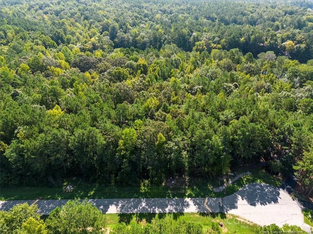 Photo 7 - Lot 53 N State Lane, Rockingham, NC 28379, Rockingham