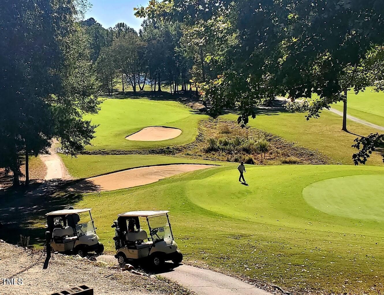 Golf Cart View - 148 Buckaroo Drive, Louisburg, NC 27549, Louisburg