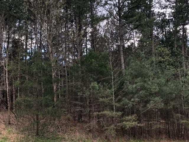 Photo 6 - 7690 Wake Forest Highway, Durham, NC 27703