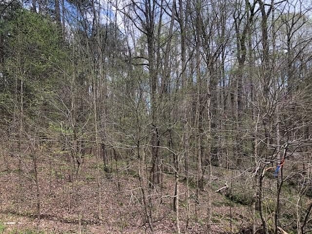 Live in the Woods - 7690 Wake Forest Highway, Durham, NC 27703, Durham