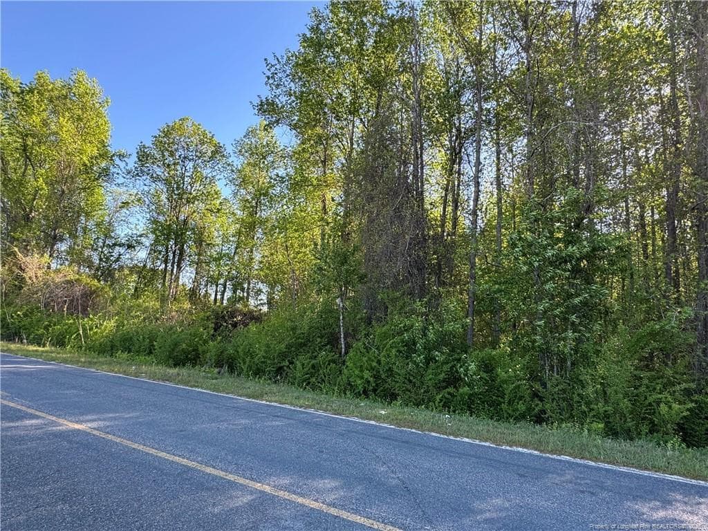 Photo 2 - McBryde Mill Road, Red Springs, NC 28377