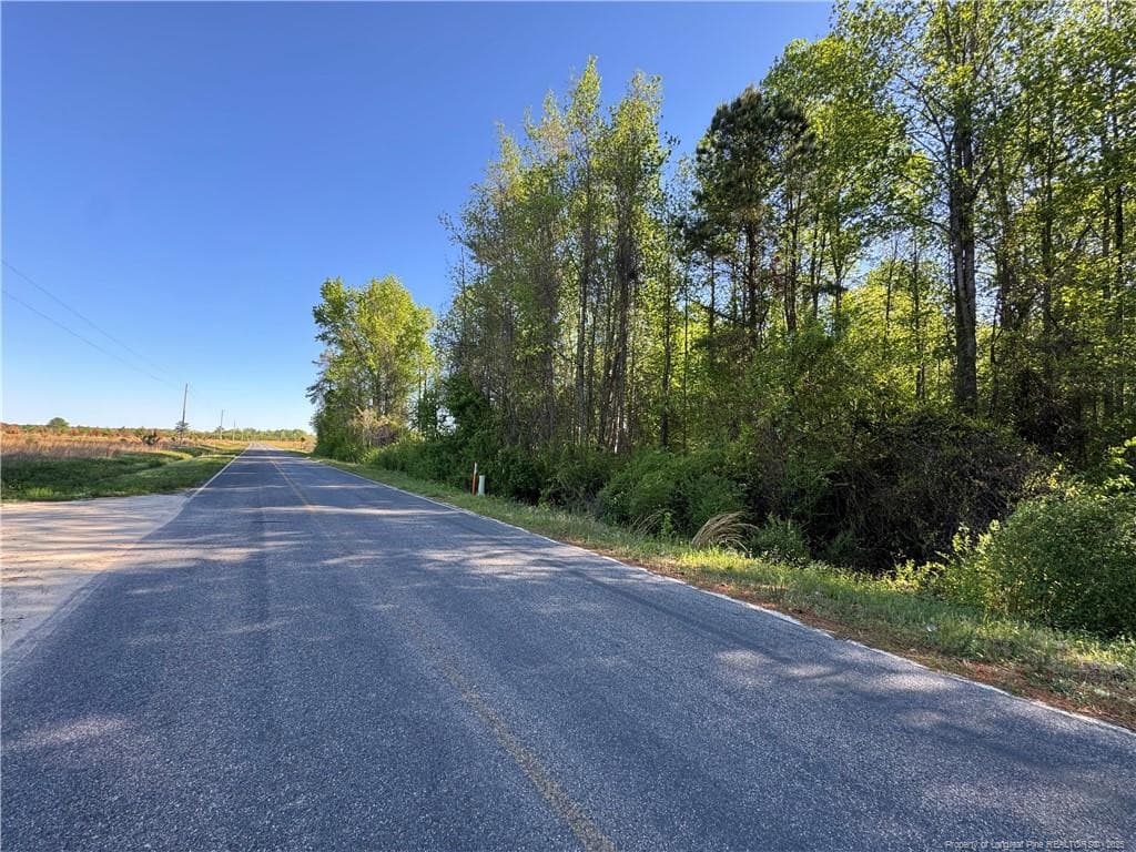 Photo 3 - McBryde Mill Road, Red Springs, NC 28377