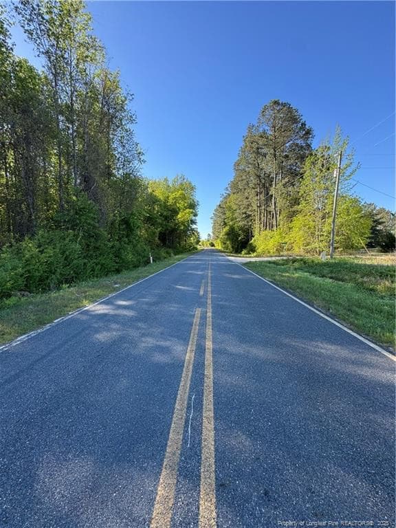 Photo 5 - McBryde Mill Road, Red Springs, NC 28377