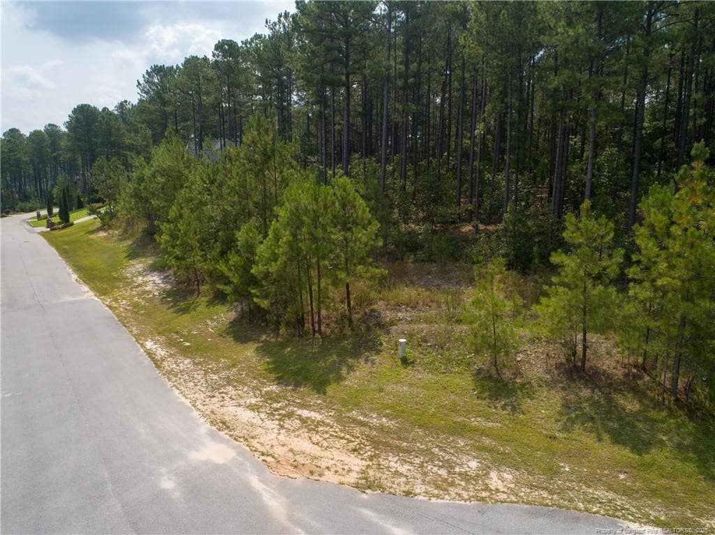 Photo 2 - 195 Broadlake (643) Lane, Spring Lake, NC 28390