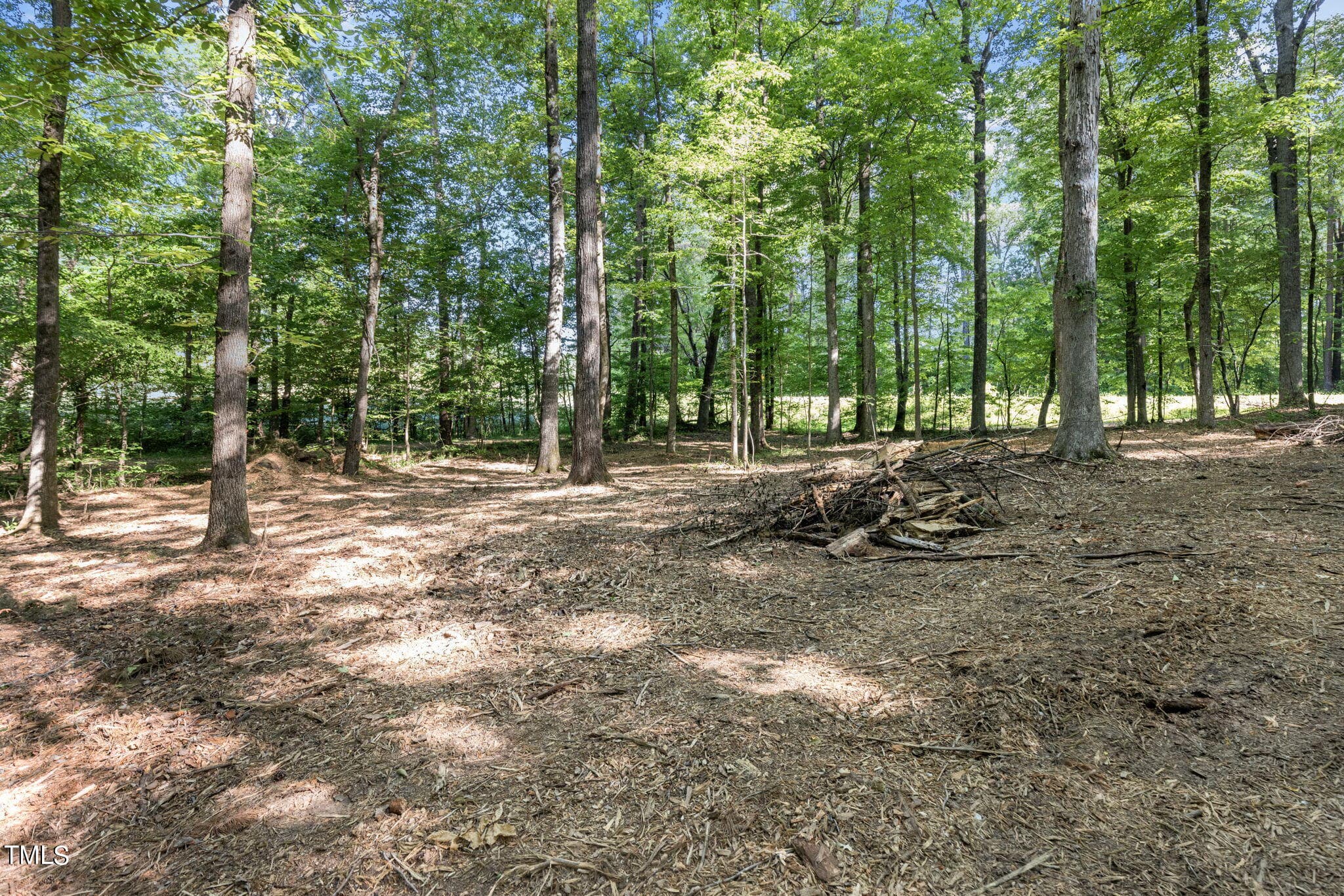 8-web-or-mls-8Y3A5276 - Lot 2 Helena Moriah Road, Timberlake, NC 27583