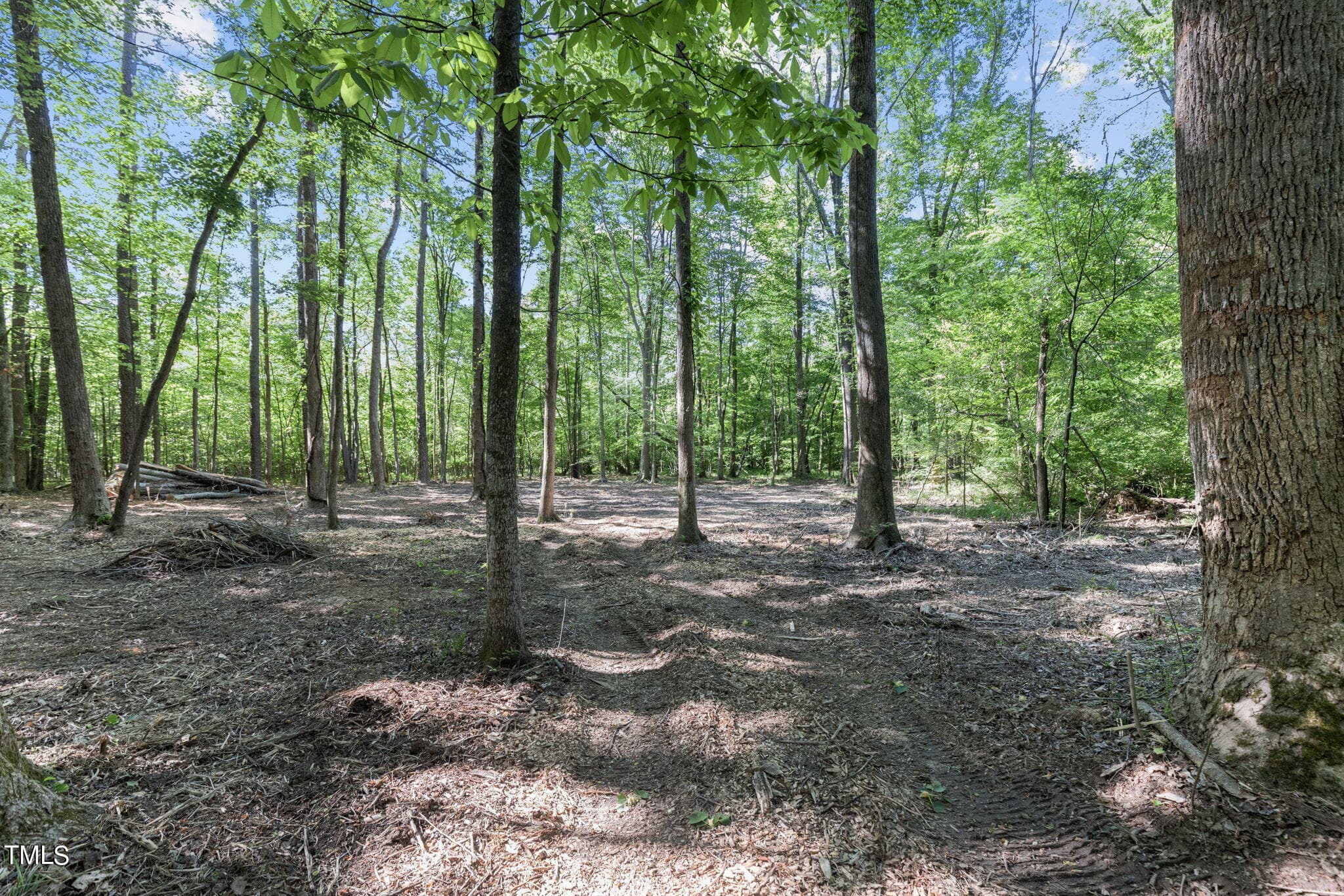 14-web-or-mls-8Y3A5282 - Lot 2 Helena Moriah Road, Timberlake, NC 27583