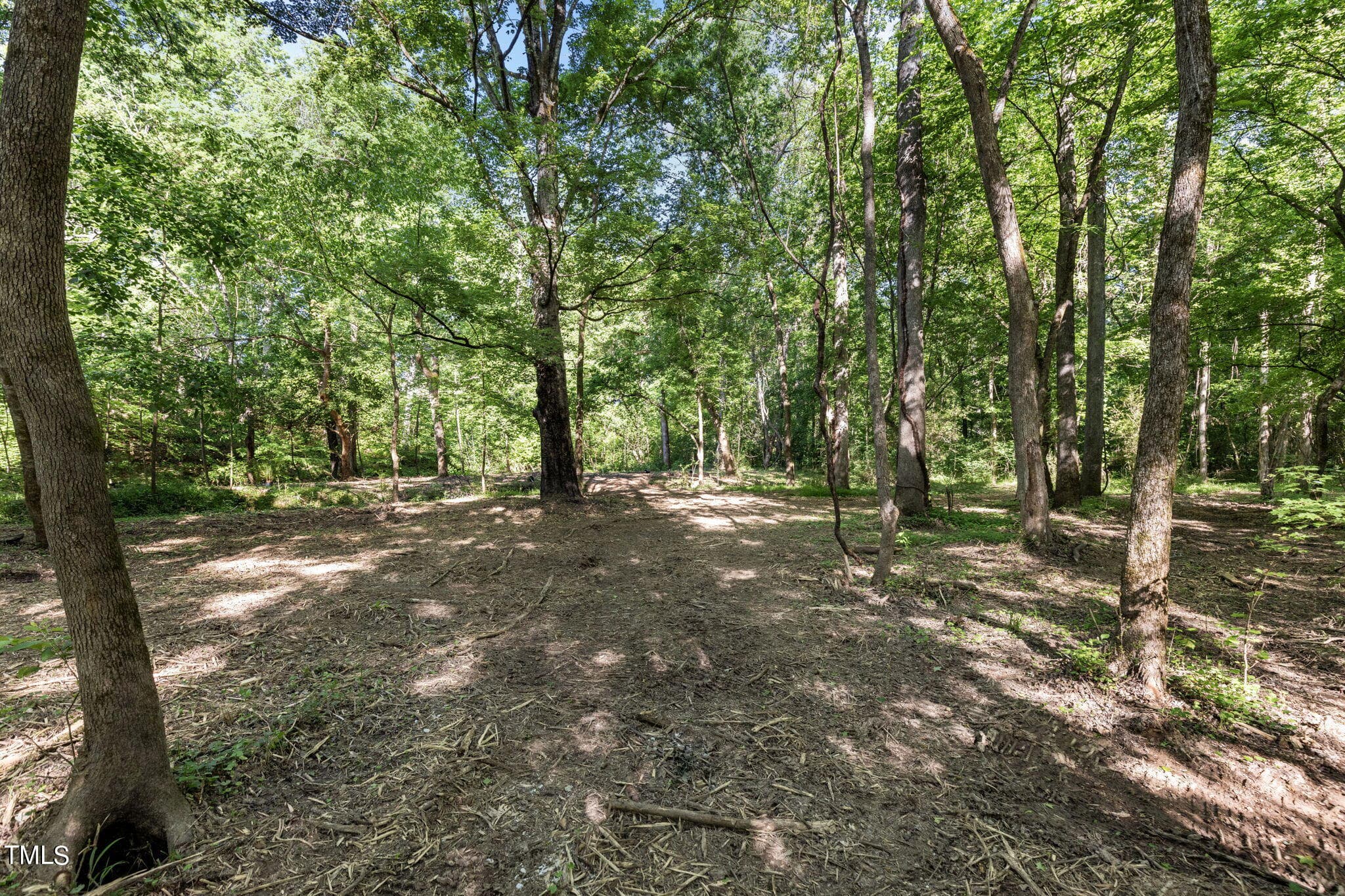 19-web-or-mls-8Y3A5287 - Lot 2 Helena Moriah Road, Timberlake, NC 27583