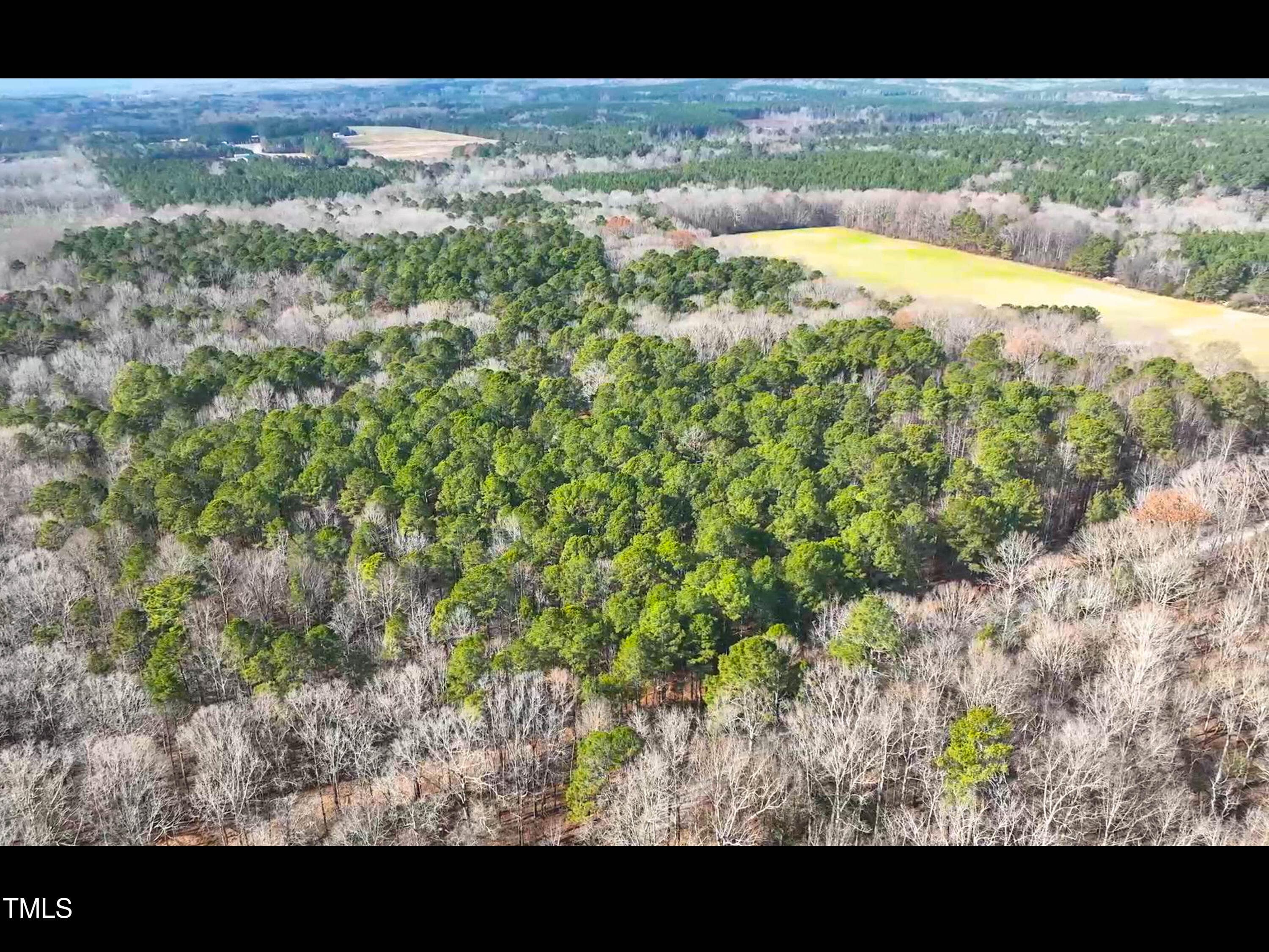 TurkeyBuzzardLn-2 - Lot 1 C Turkey Buzzard Lane, Pittsboro, NC 27312, Pittsboro