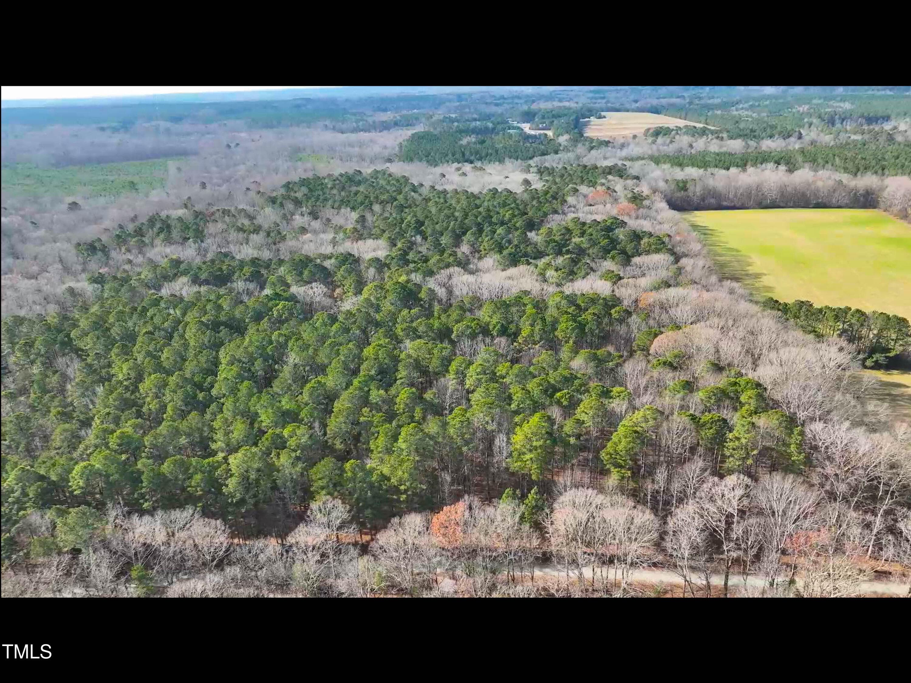 TurkeyBuzzardLn-3 - Lot 1 C Turkey Buzzard Lane, Pittsboro, NC 27312, Pittsboro