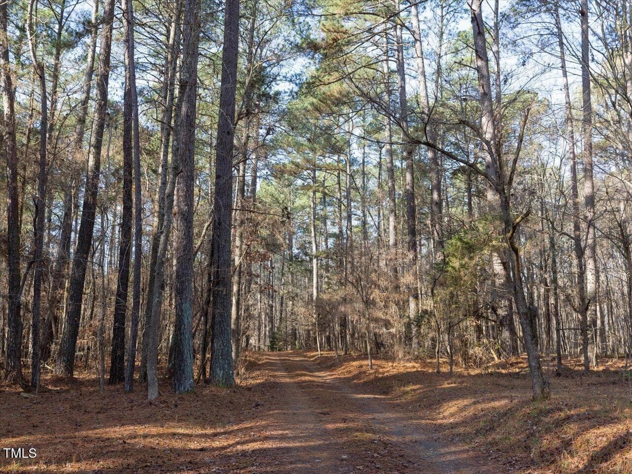 TurkeyBuzzardLn-4 - Lot 1 C Turkey Buzzard Lane, Pittsboro, NC 27312, Pittsboro
