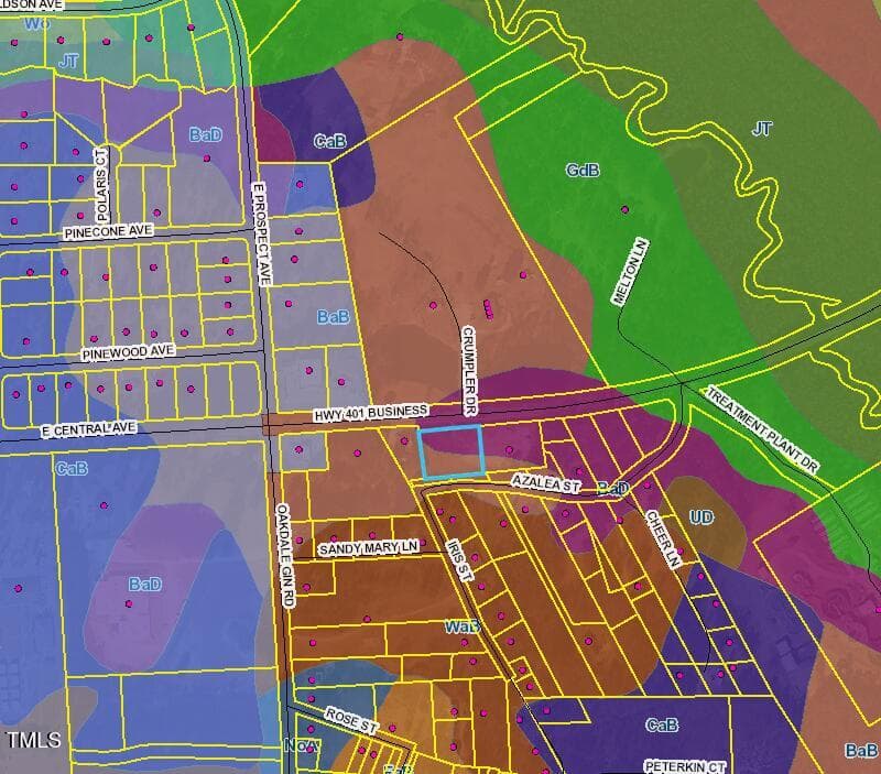 Screenshot 2025-05-21 104842 - 401 Us-401, Raeford, NC 28376, Raeford