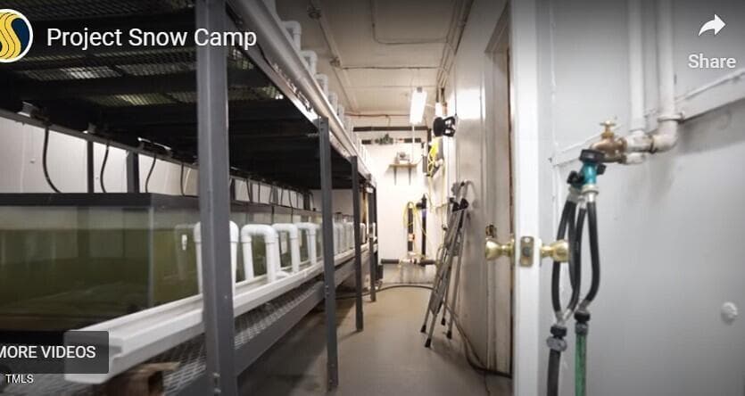 Screenshot 17 - 2900 Quakenbush Road Road, Snow Camp, NC 27349