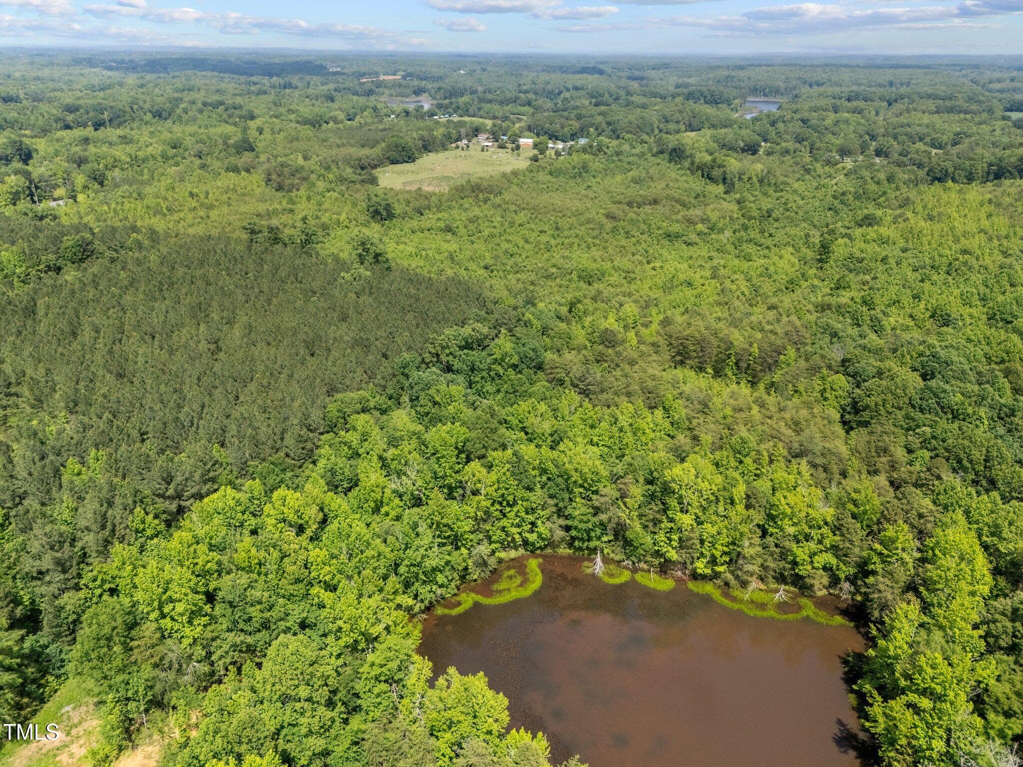 2-web-or-mls-DJI_20250521145544_0069_D - 112 Scnobia Taylor Road, Cedar Grove, NC 27231