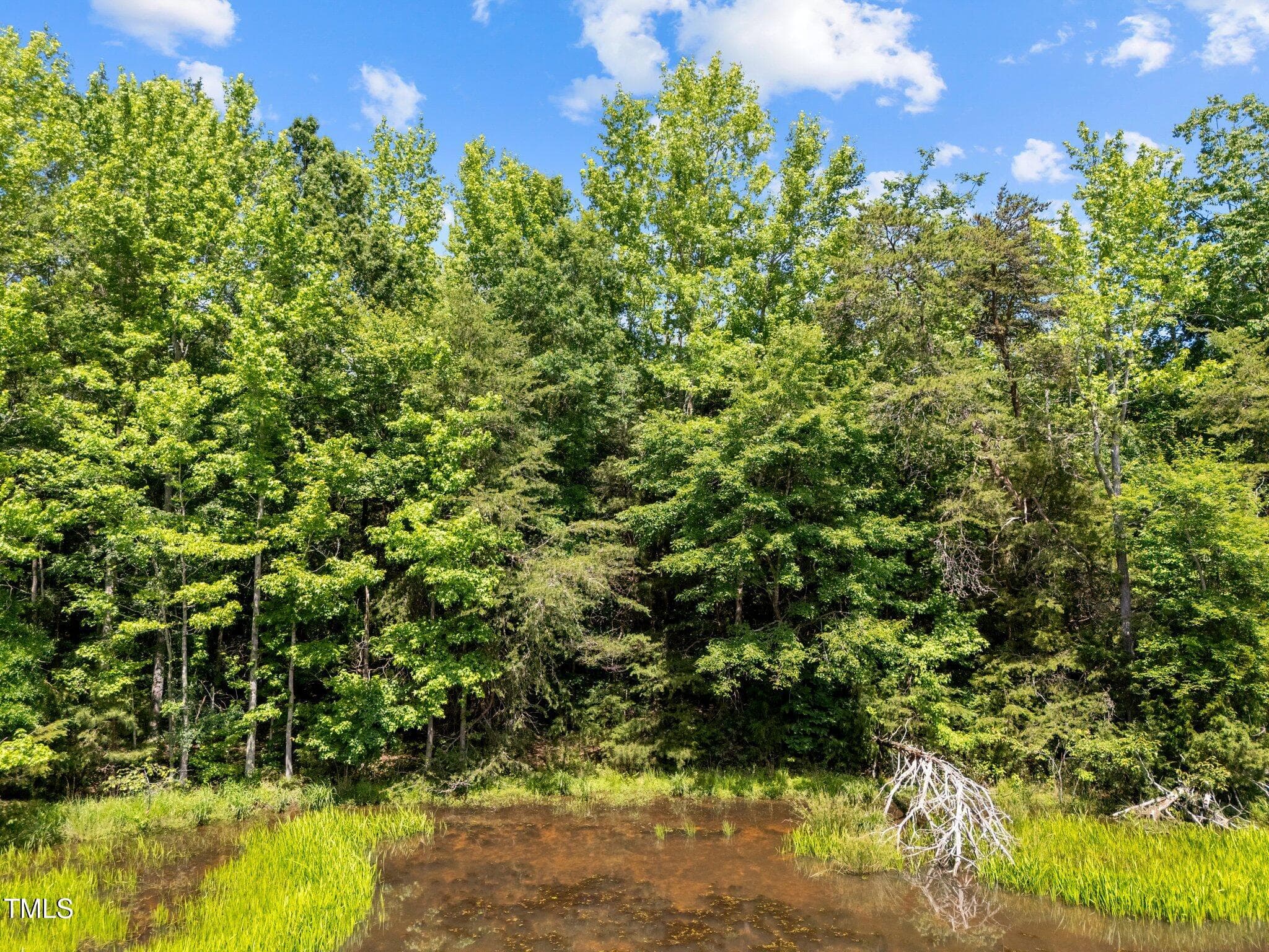9-web-or-mls-DJI_20250521150004_0076_D - 112 Scnobia Taylor Road, Cedar Grove, NC 27231