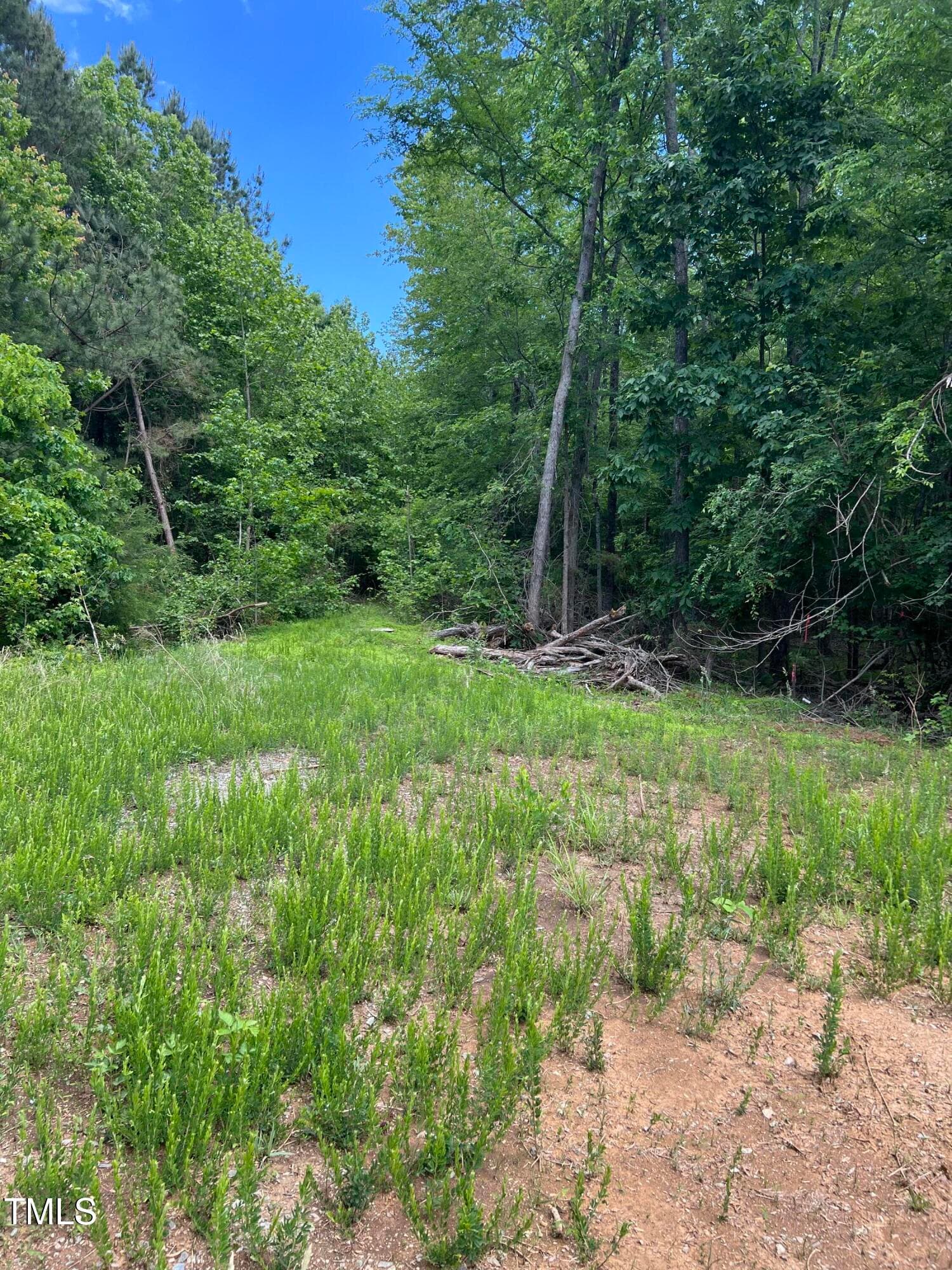 Entrance - 112 Scnobia Taylor Road, Cedar Grove, NC 27231