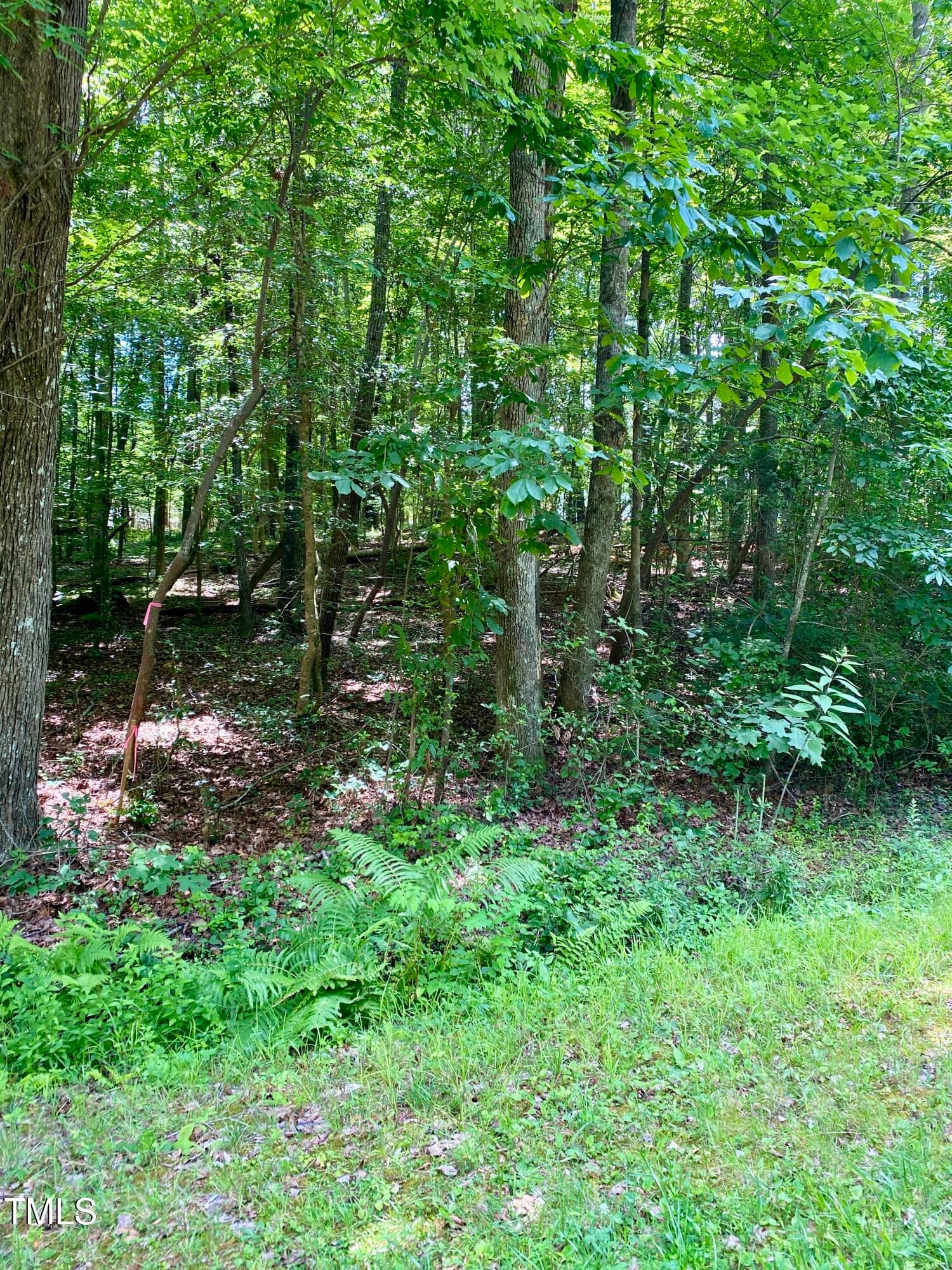 IMG_5006 - 100 Cherokee Drive, Louisburg, NC 27549, Louisburg