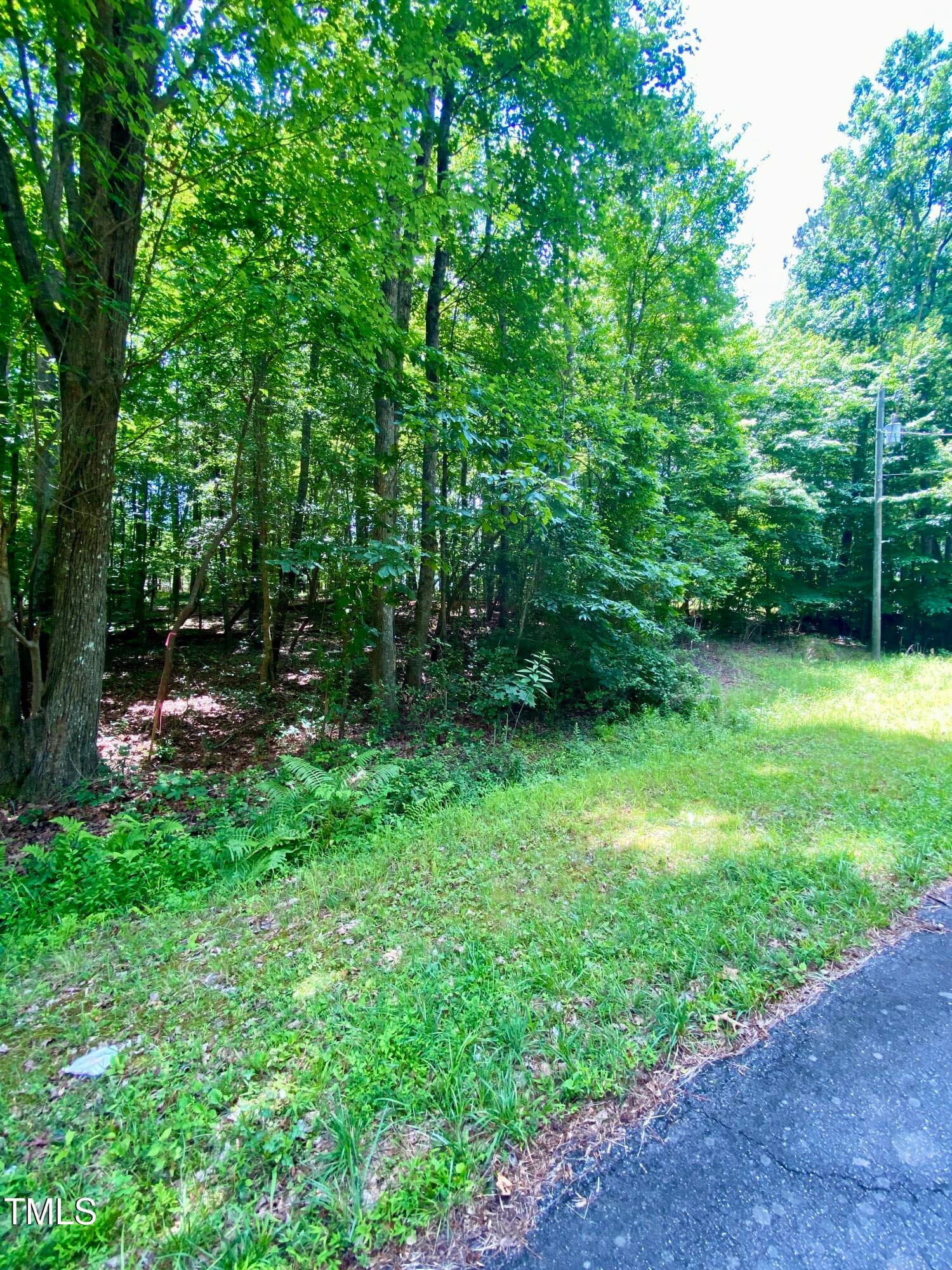 IMG_5007 - 100 Cherokee Drive, Louisburg, NC 27549, Louisburg