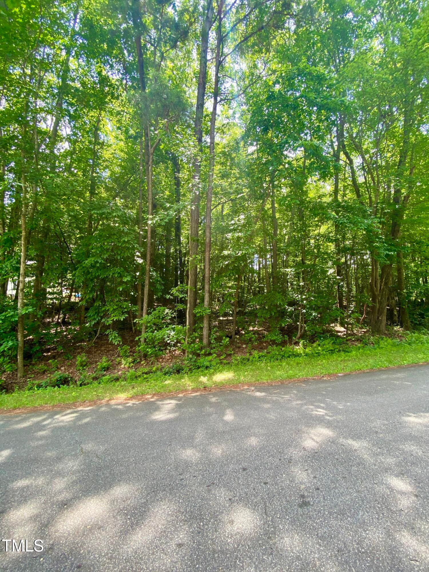 IMG_5004 - 100 Cherokee Drive, Louisburg, NC 27549, Louisburg