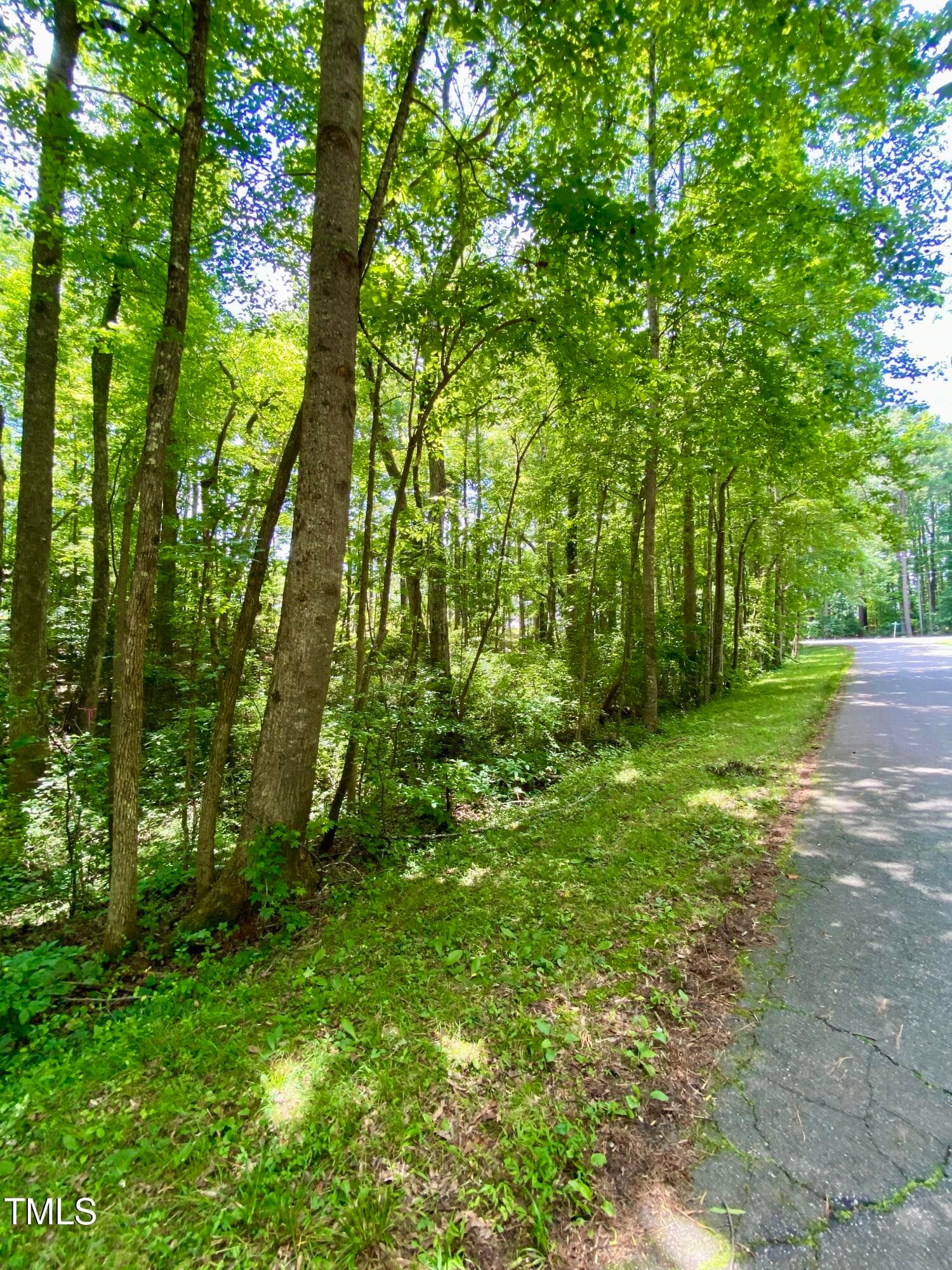 IMG_5009 - 100 Cherokee Drive, Louisburg, NC 27549, Louisburg
