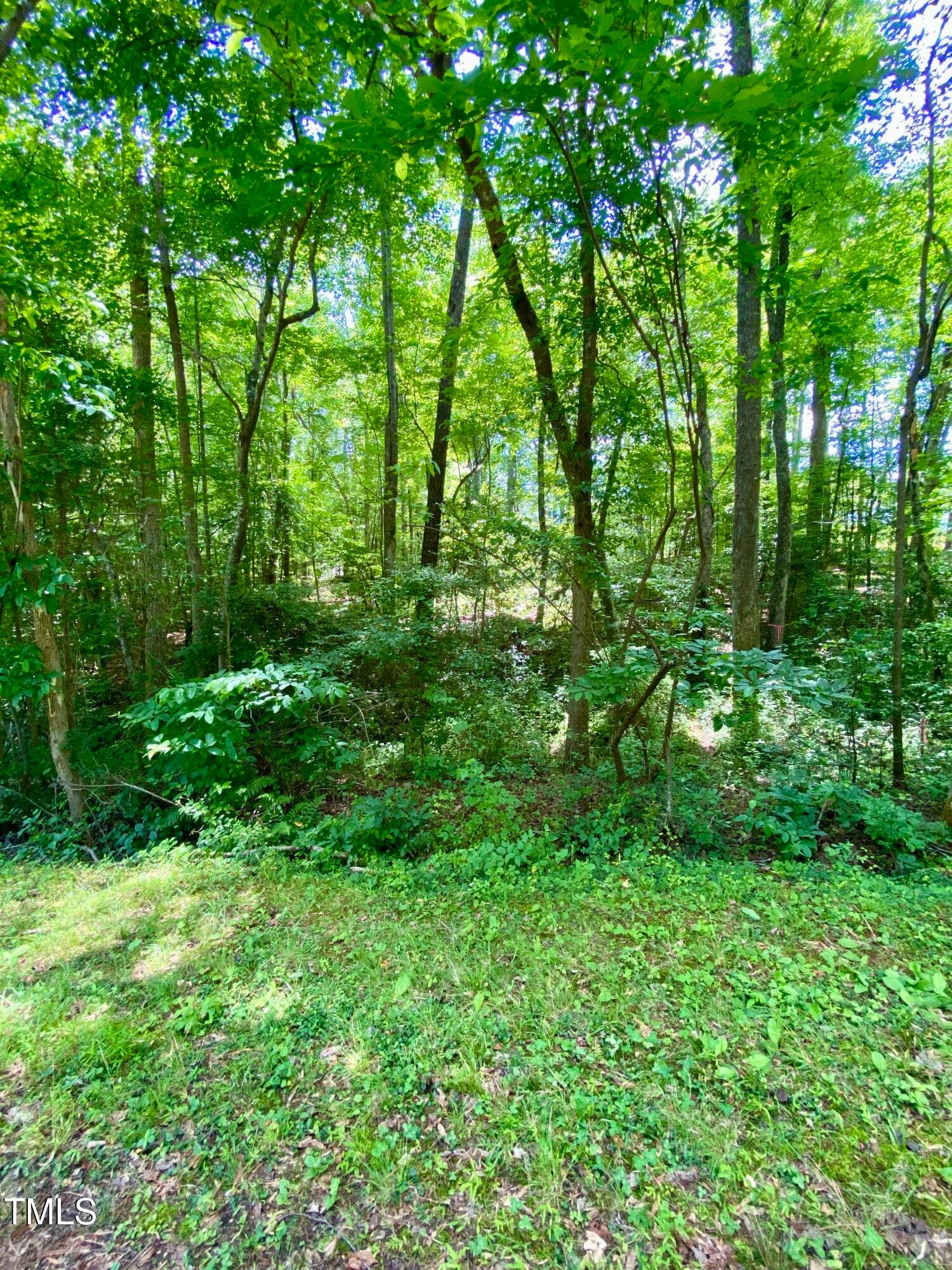 IMG_5008 - 100 Cherokee Drive, Louisburg, NC 27549, Louisburg