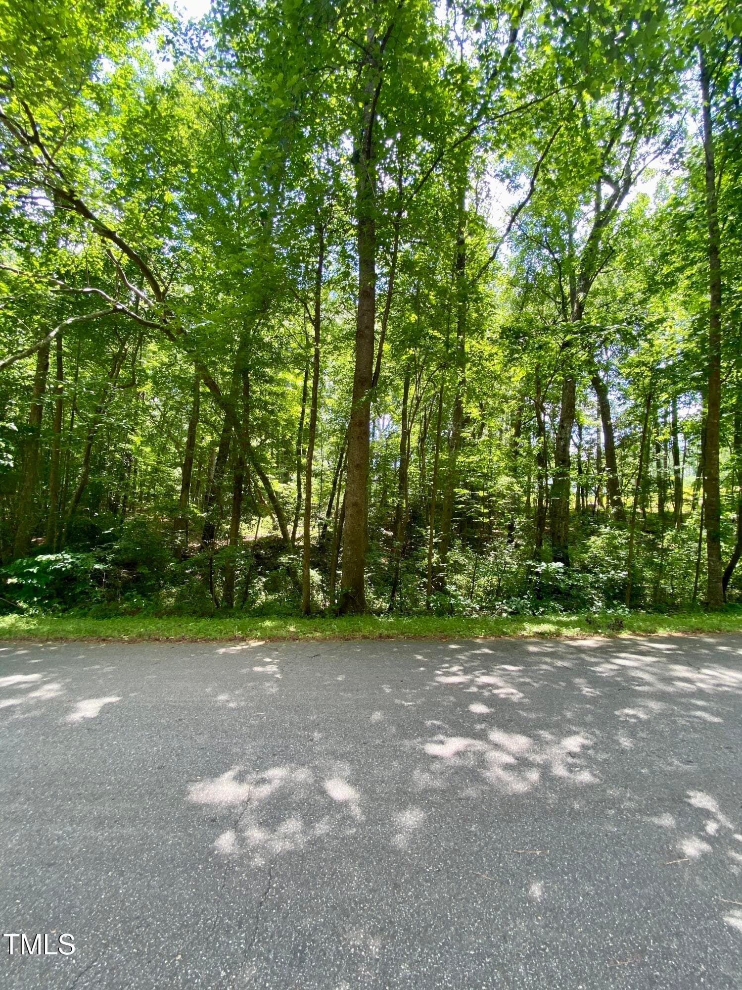IMG_5011 - 100 Cherokee Drive, Louisburg, NC 27549, Louisburg