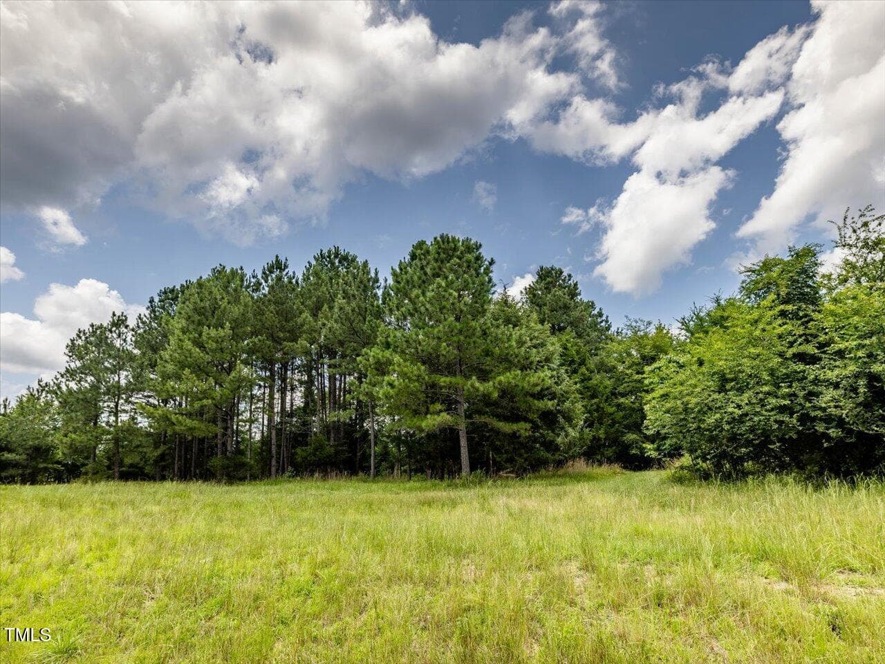 23-023-588RufusCBurnetteDr-Land-20250611 - 588 Rufus C Burnette Drive, Pittsboro, NC 27312