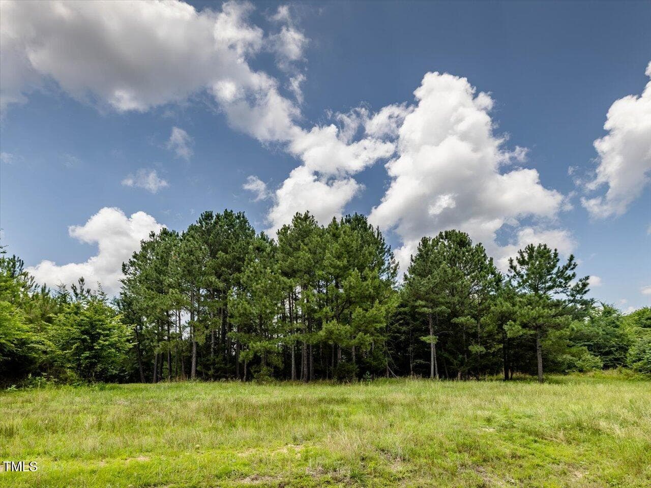 24-024-588RufusCBurnetteDr-Land-20250611 - 588 Rufus C Burnette Drive, Pittsboro, NC 27312