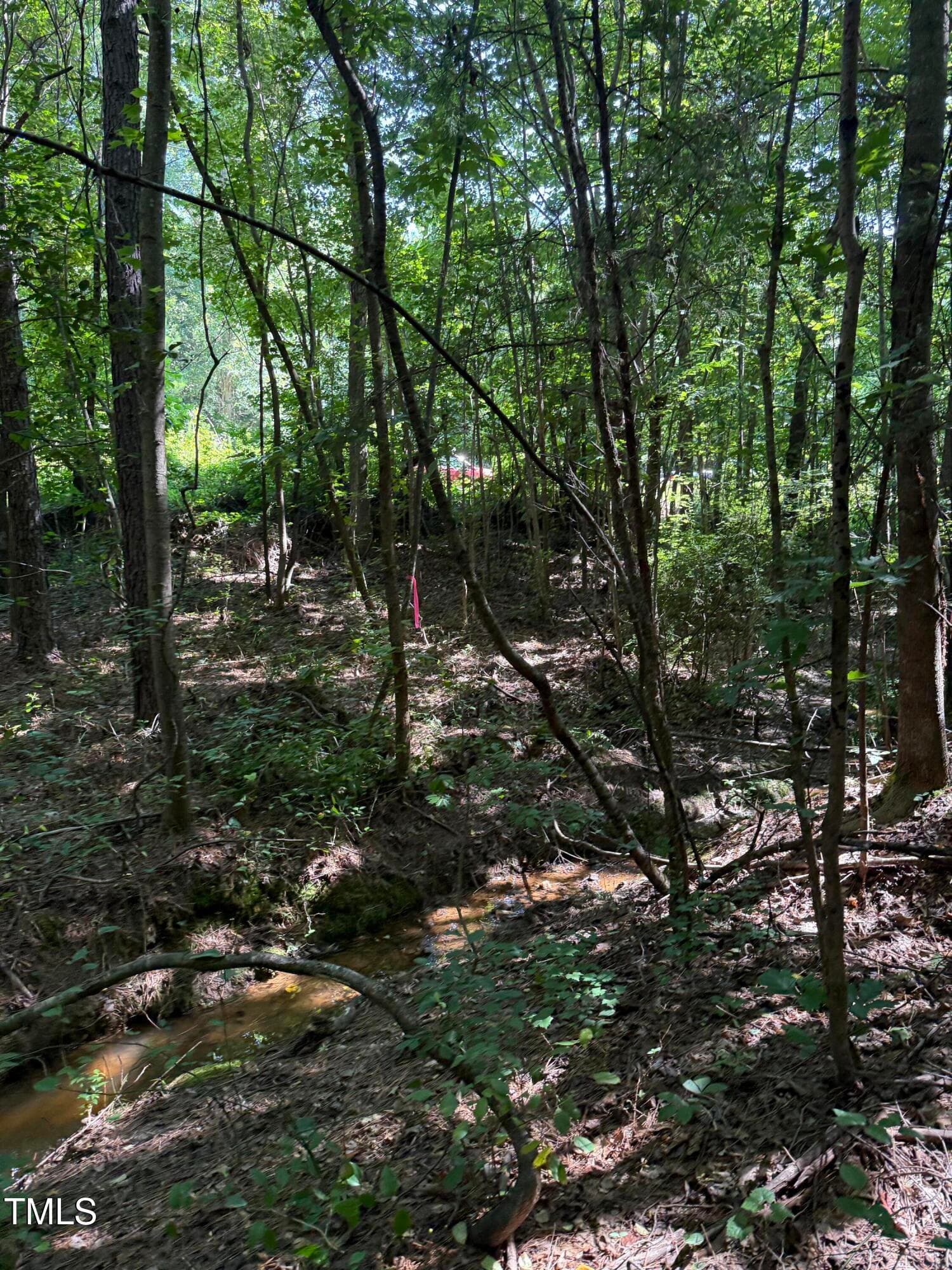 IMG_0158 - 190 Louise Jenkins Road, Moncure, NC 27559