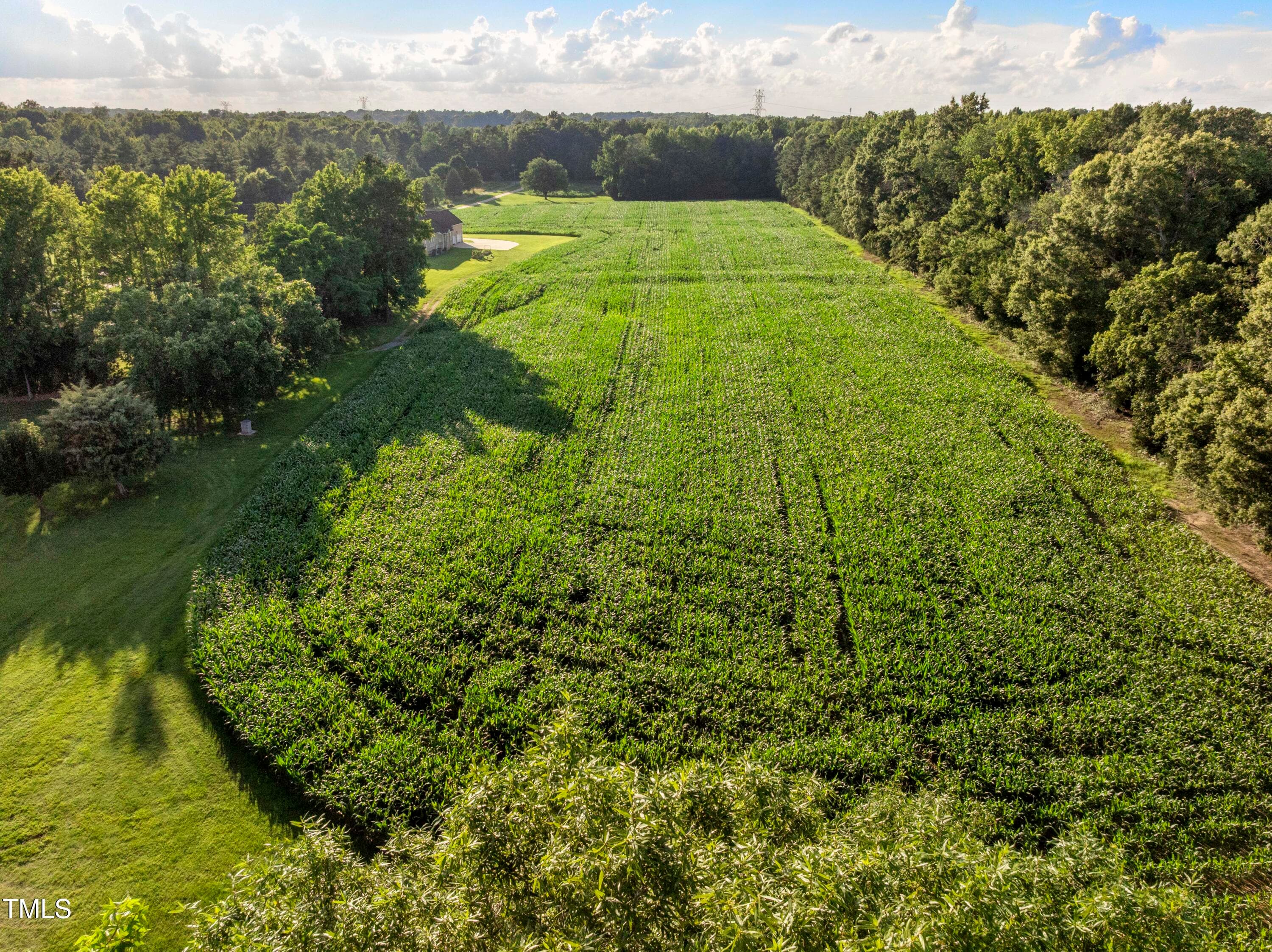 DJI_20250617185928_0281_D - 5633 Baptist Assembly Road, Julian, NC 27283