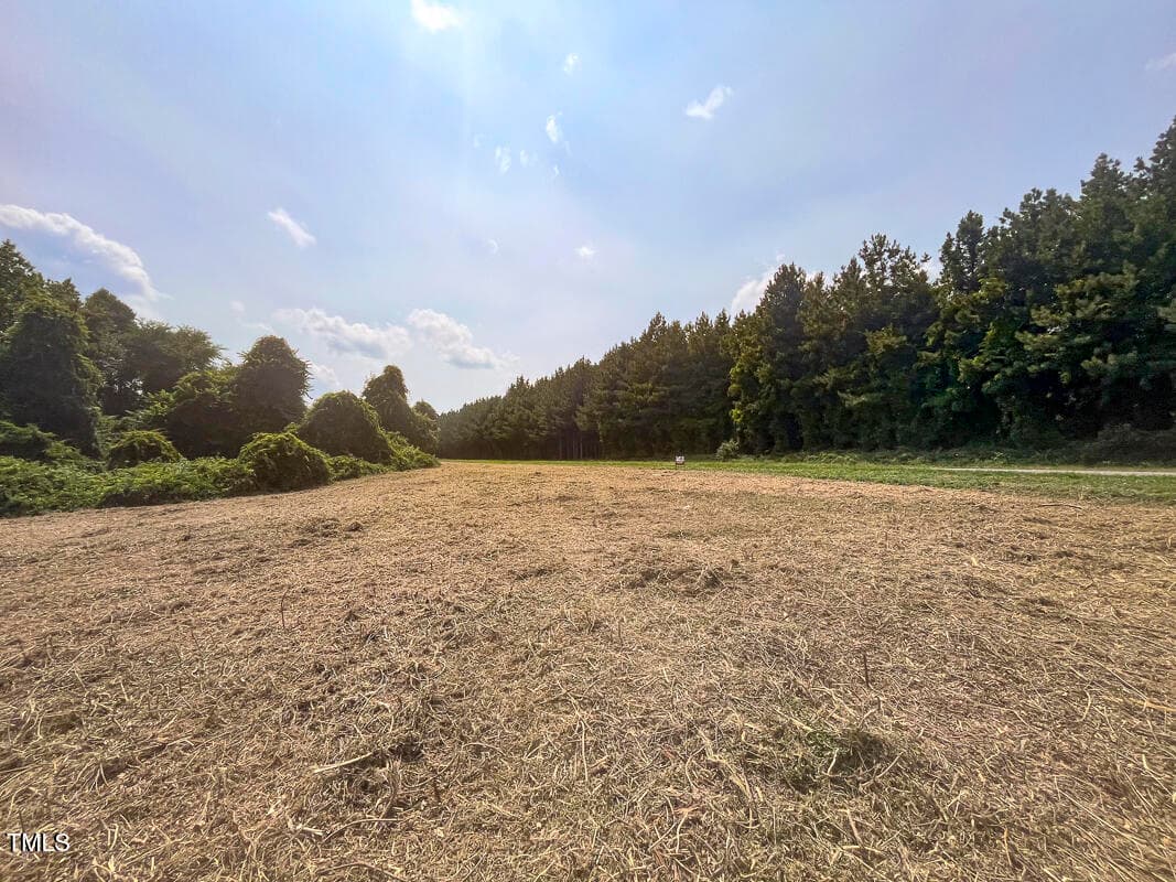 Caswell Co. NC 8.64-Skyview-Lot 6-09 - Lot 6 00 Goodman Road, Pelham, NC 27311
