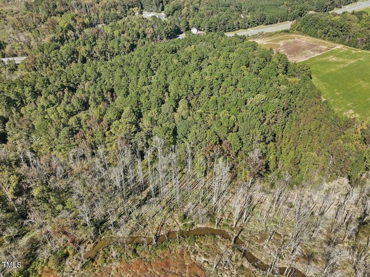 05-005-KarenCalhounRd-Chatham-Parcel-295 - 177 Karen Calhoun Road, Pittsboro, NC 27312, Pittsboro