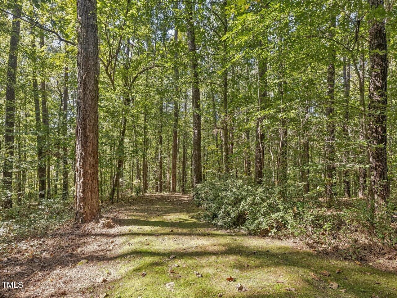 23-023-KarenCalhounRd-Chatham-Parcel-295 - 281 Karen Calhoun Road, Pittsboro, NC 27312, Pittsboro