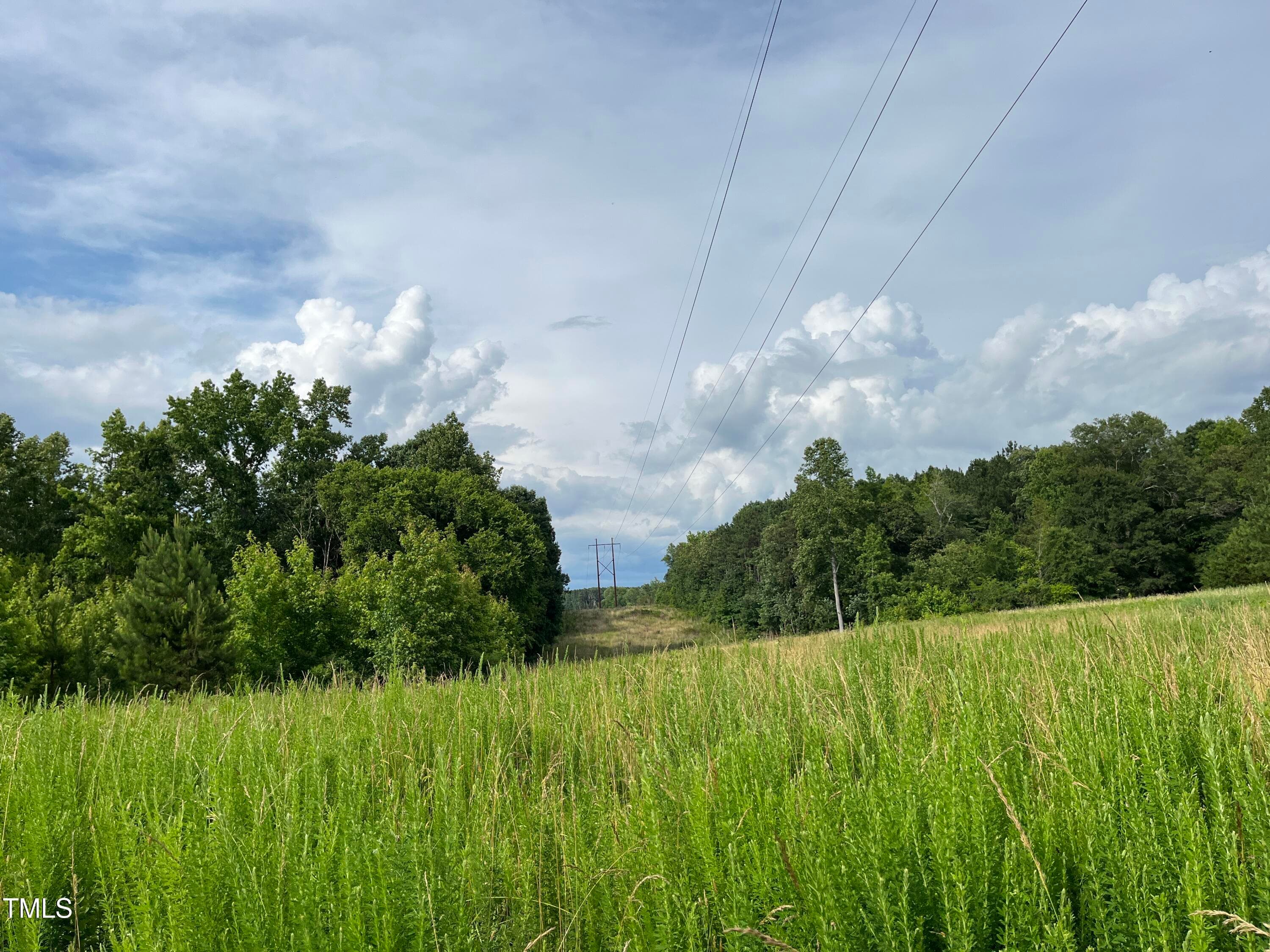 IMG_7567 - 00 Bullocksvile Park Road, Manson, NC 27553