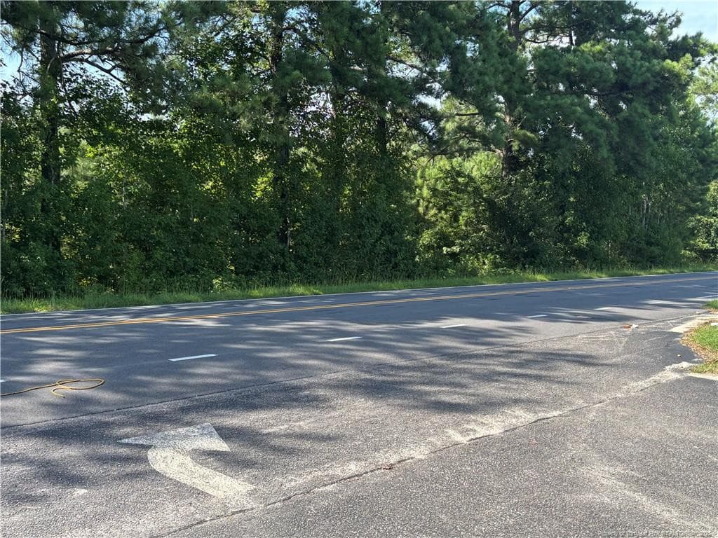 Additional view of road frontage - Candy Park Road, Pembroke, NC 28372