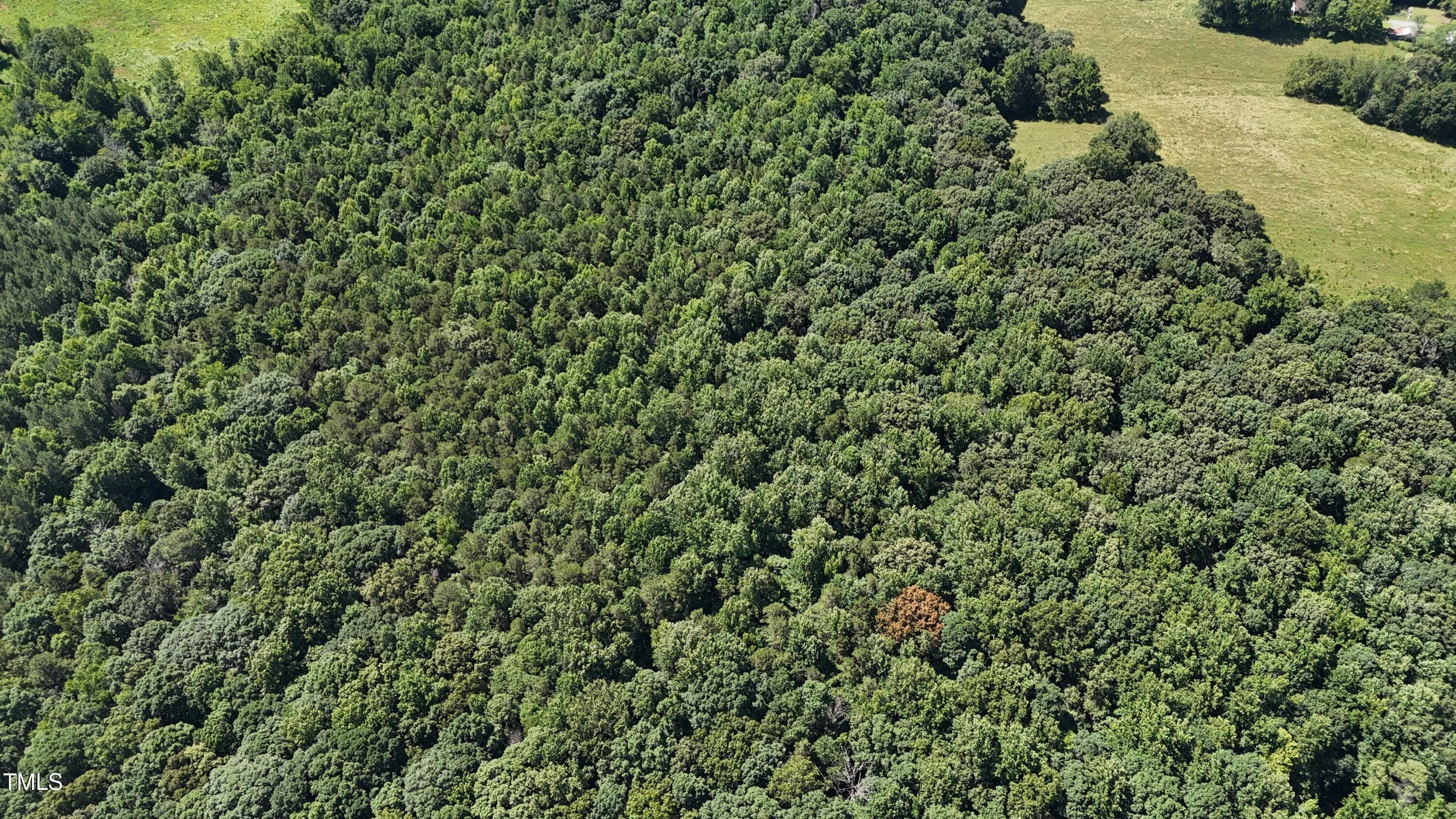DJI_20250620110809_0096_D - Tbd Siler City Snow Camp Road, Siler City, NC 27344