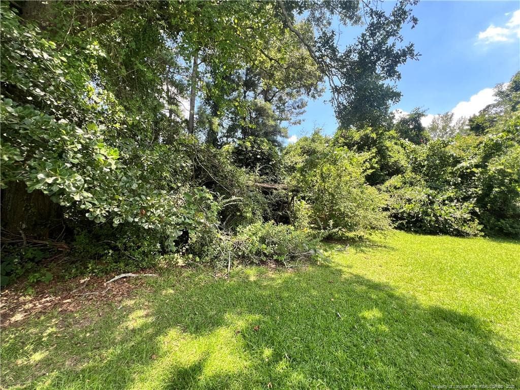 Photo 16 - 510 ARRINGTON Street, Rowland, NC 28383