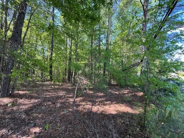The Land - 4300-4304 Cheek Road, Durham, NC 27704