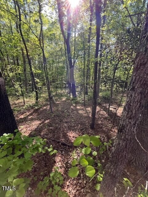 4302 Cheek Woods - 4300-4304 Cheek Road, Durham, NC 27704