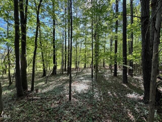 Looking East at 4304 Cheek. - 4300-4304 Cheek Road, Durham, NC 27704