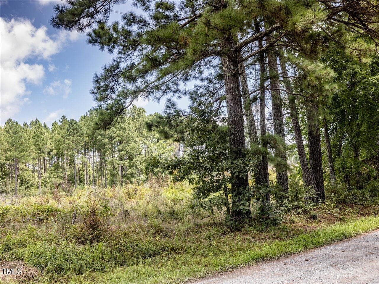 12-012-TractB-20250815 - Tract B Chicken Bridge Road, Pittsboro, NC 27312, Pittsboro