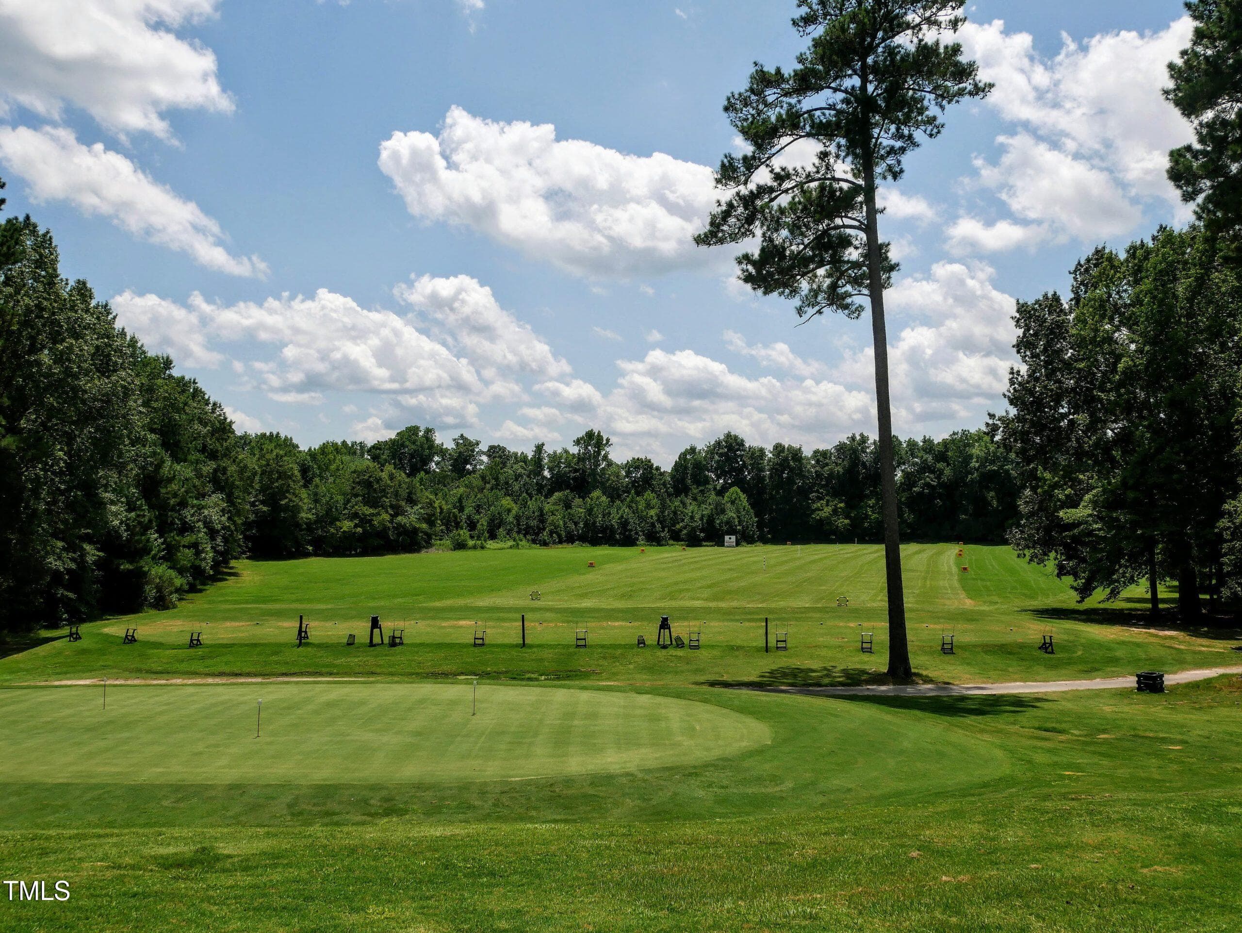 Golf Scene 4 - 118 Rustler Road, Louisburg, NC 27549, Louisburg