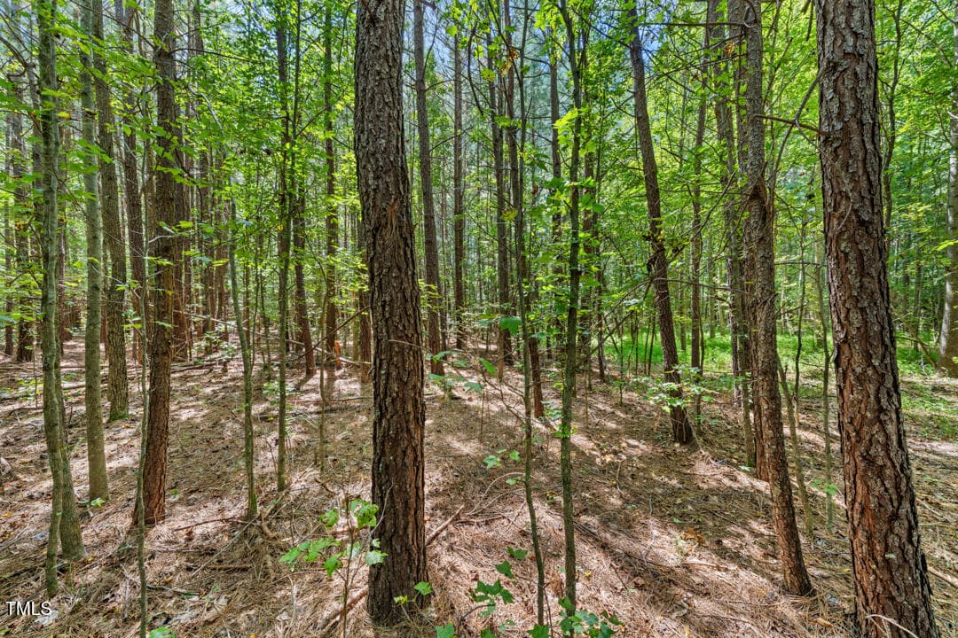 DSC06855 - 4106 Wilson Town Road, Oxford, NC 27565