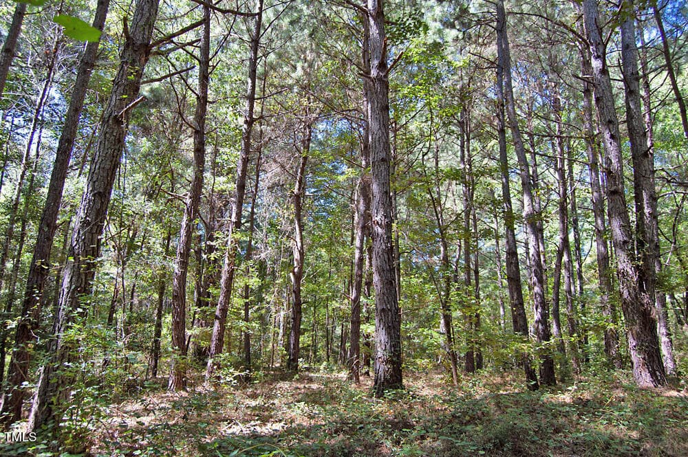 DSC_0739 - 0 Nc Highway 33, Tarboro, NC 27886