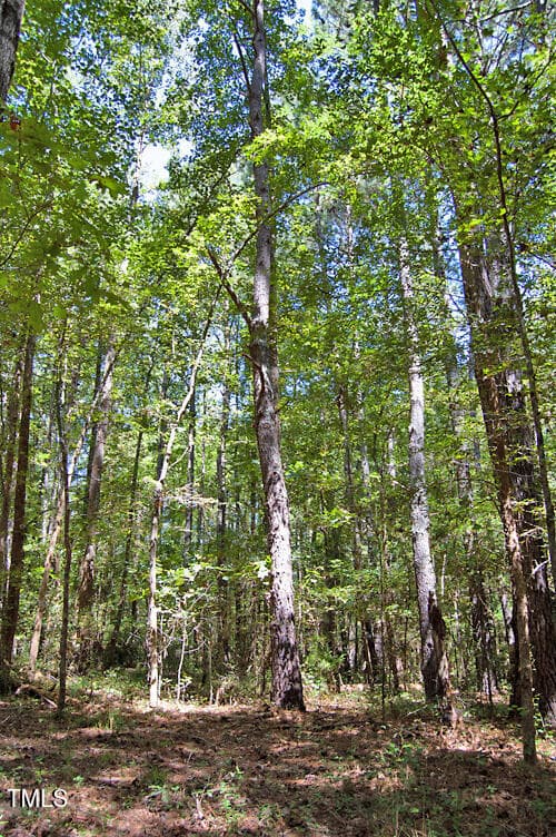 DSC_0747 - 0 Nc Highway 33, Tarboro, NC 27886