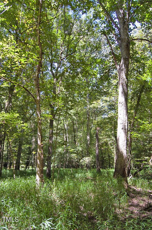 DSC_0763 - 0 Nc Highway 33, Tarboro, NC 27886