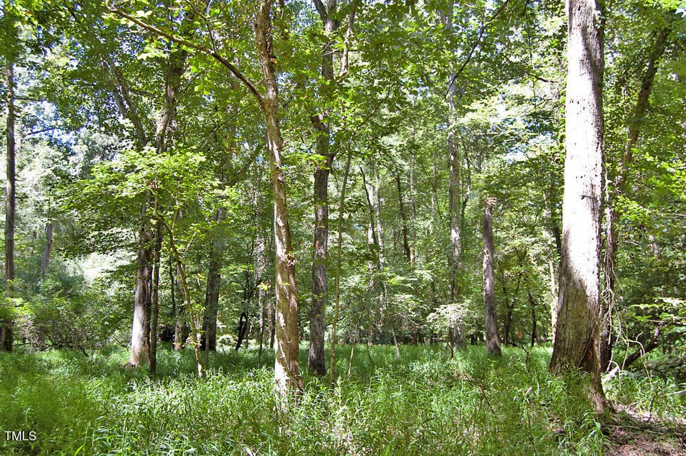 DSC_0764 - 0 Nc Highway 33, Tarboro, NC 27886