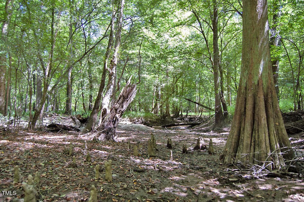 DSC_0767 - 0 Nc Highway 33, Tarboro, NC 27886