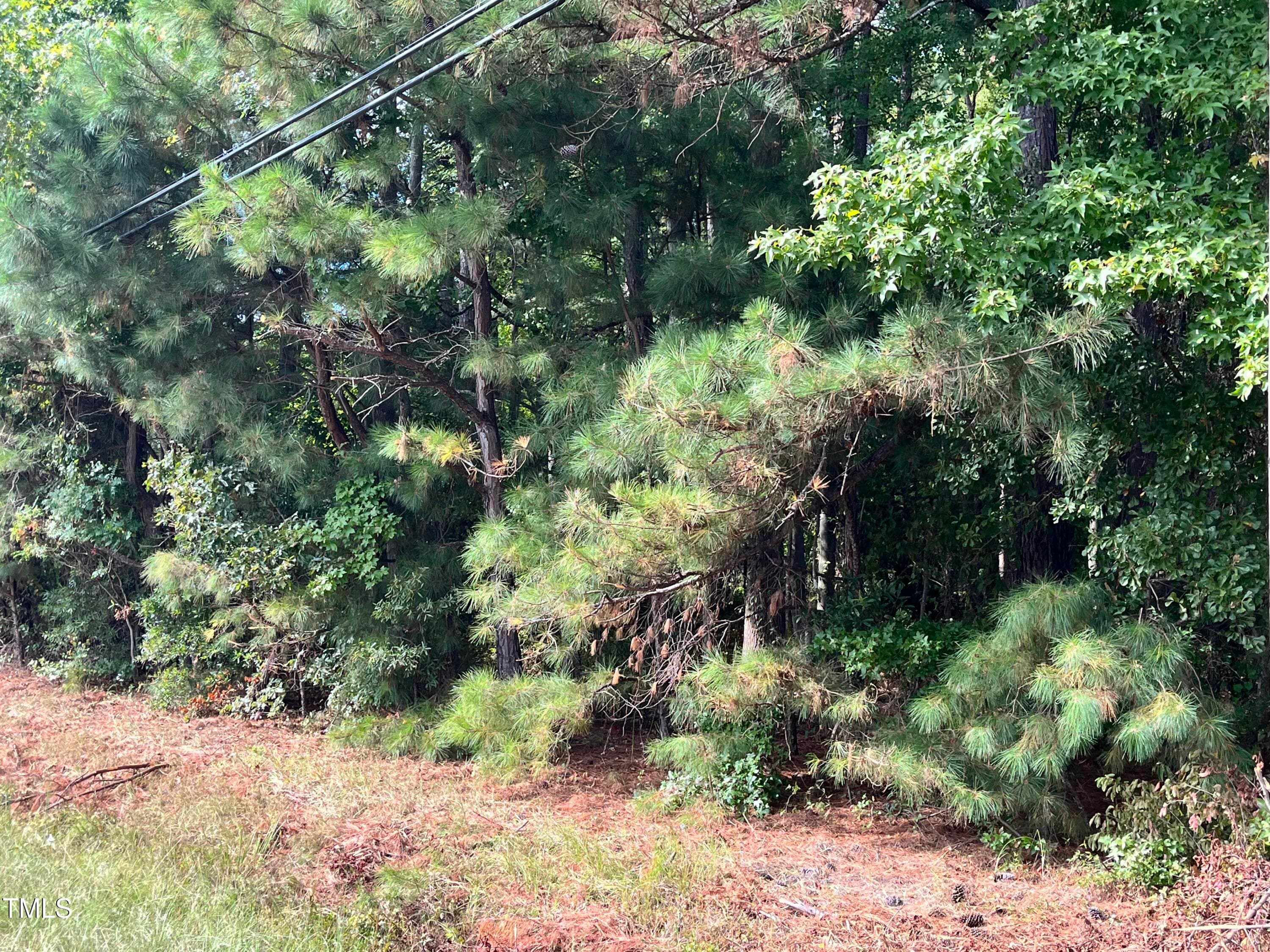 cokeyrdland3 - Tbd Cokey Road, Rocky Mount, NC 27801, Rocky Mount