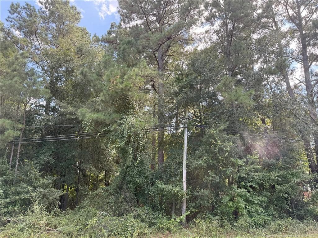 Lot 3 E Williams Street, Autryville, NC 28318