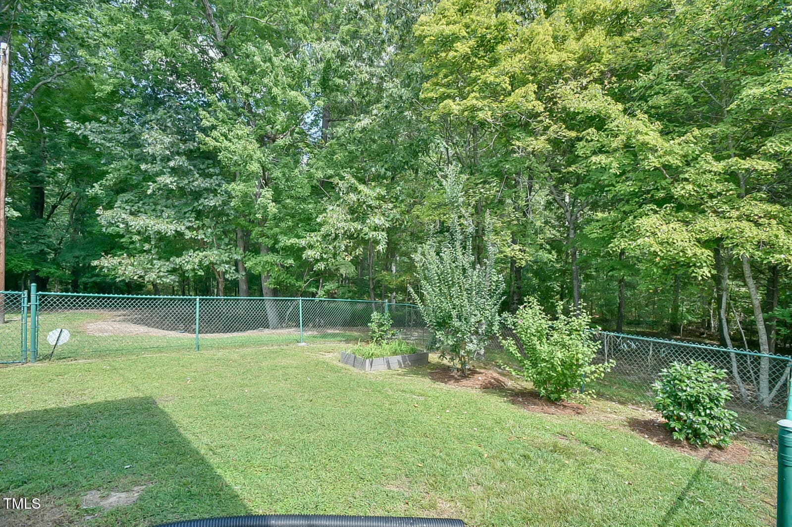 _DSC6445 - 345 Rays Drive, Apex, NC 27523, Apex